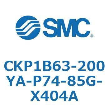 CKP1B SMC