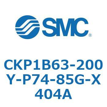 CKP1B SMC