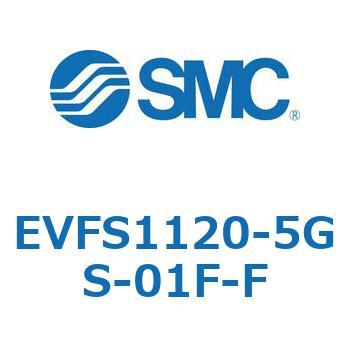 EVFS1 SMC
