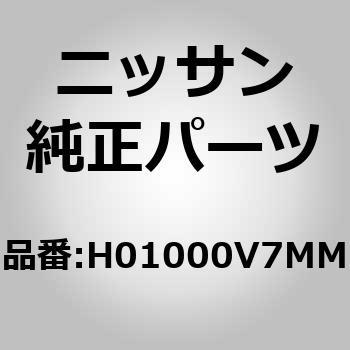 (H0100)ドア アッセンブリー，フロント RH ニッサン