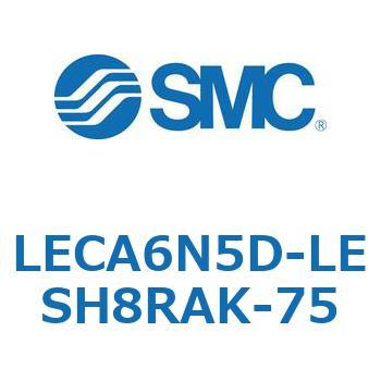 LECA6 SMC