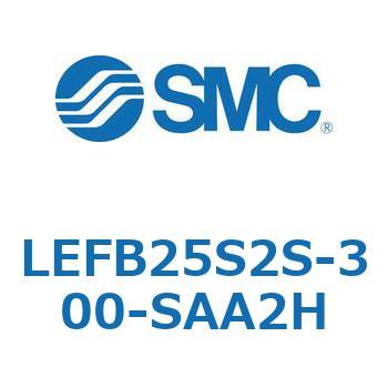 LEFB2 SMC