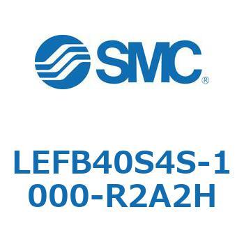 LEFB4 SMC
