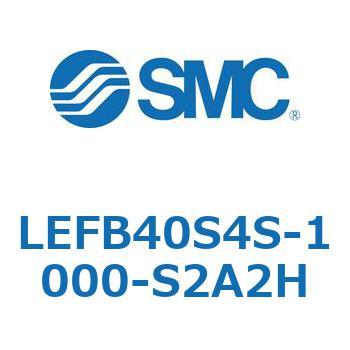 LEFB4 SMC