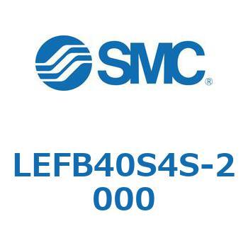 LEFB4 SMC