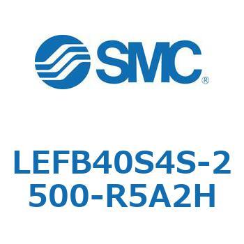 LEFB4 SMC