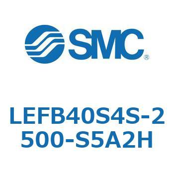LEFB4 SMC