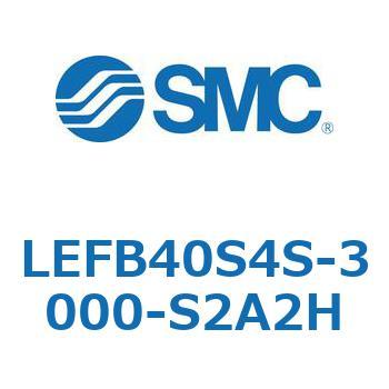 LEFB4 SMC