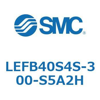 LEFB4 SMC