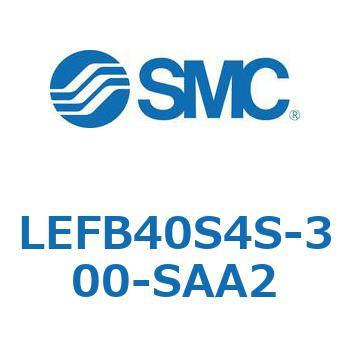 LEFB4 SMC