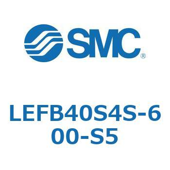 LEFB4 SMC