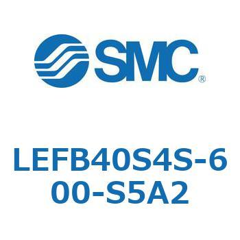 LEFB4 SMC