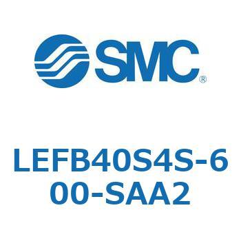 LEFB4 SMC
