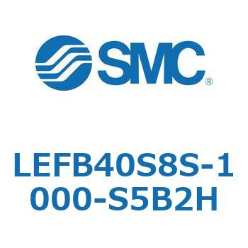 LEFB4 SMC