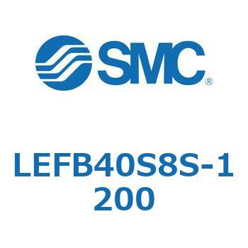 LEFB4 SMC