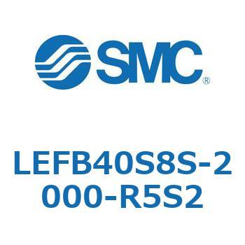 LEFB4 SMC