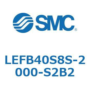 LEFB4 SMC