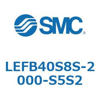 LEFB4 SMC