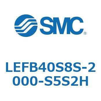 LEFB4 SMC