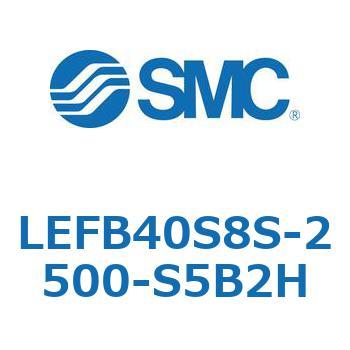 LEFB4 SMC