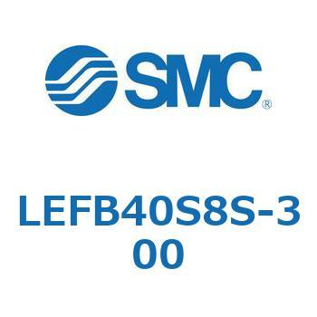 LEFB4 SMC