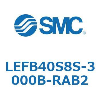 LEFB4 SMC