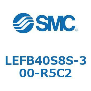 LEFB4 SMC