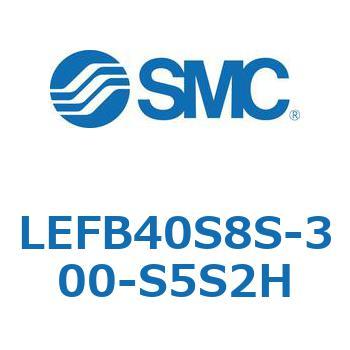 LEFB4 SMC