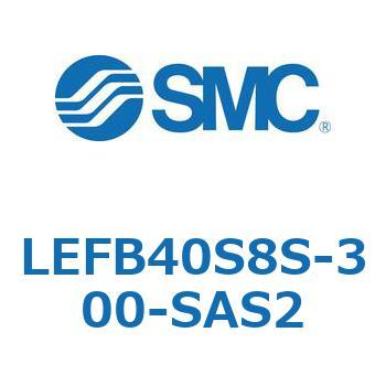 LEFB4 SMC