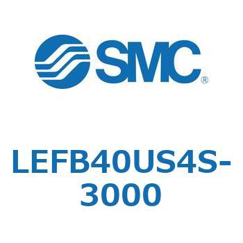 LEFB4 SMC