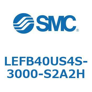 LEFB4 SMC