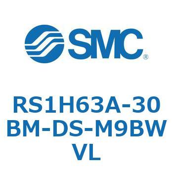 RS1H63A-30BM-DS-M9BWVL XgbpV_ RS1H6 SMC 56325963