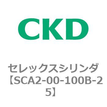 SCA2-00-100B-25 ZbNXV_ CKD 05710433