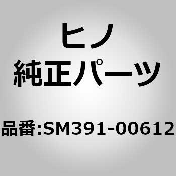 (SM391)PIN、SNAP 日野自動車
