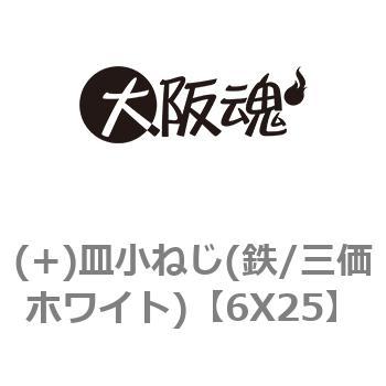 鉄/クローム (+) サラ小ねじ (全ねじ)Ｍ６×２５ 【 小箱 ： 1箱／500本