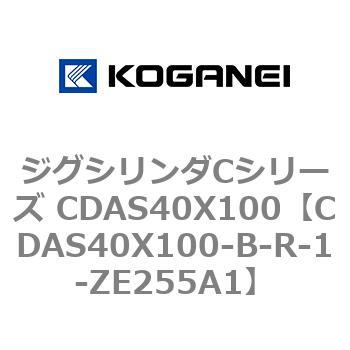 CDAS40X100-B-R-1-ZE255A1 WOV_CV[Y CDAS40X100 RKlC 71072776