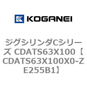 CDATS63X100X0-ZE255B1 �W�O�V�����_C�V���[�Y CDATS63X100 �R�K�l�C 71165998