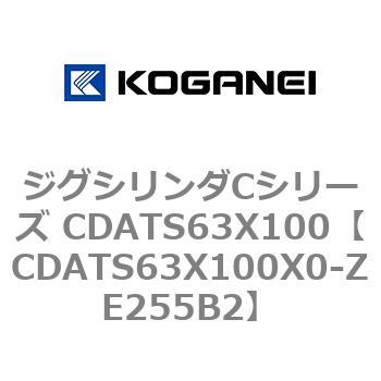 CDATS63X100X0-ZE255B2 �W�O�V�����_C�V���[�Y CDATS63X100 �R�K�l�C 71166007