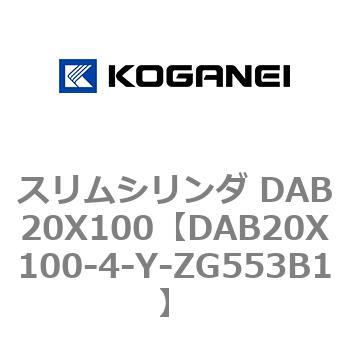 DAB20X100-4-Y-ZG553B1 XV_ DAB20X100 RKlC 71529246