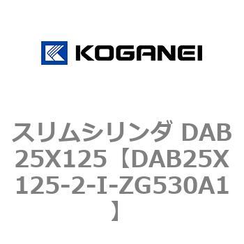 DAB25X125-2-I-ZG530A1 XV_ DAB25X125 RKlC 71536517