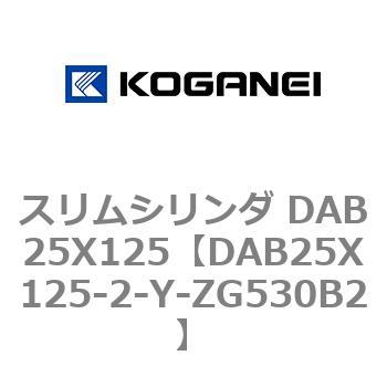 DAB25X125-2-Y-ZG530B2 XV_ DAB25X125 RKlC 71536578