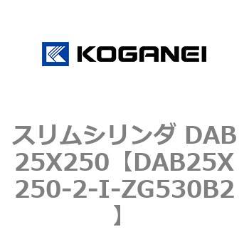 DAB25X250-2-I-ZG530B2 XV_ DAB25X250 RKlC 71538102