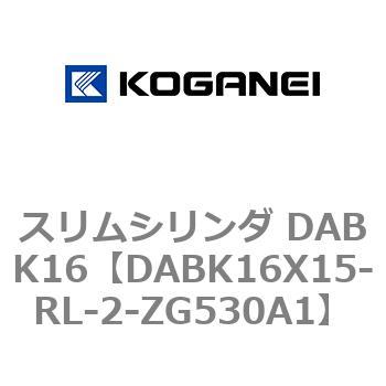 DABK16X15-RL-2-ZG530A1 XV_ DABK16 RKlC 71562548