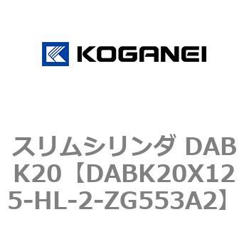 DABK20X125-HL-2-ZG553A2 XV_ DABK20 RKlC 71563652