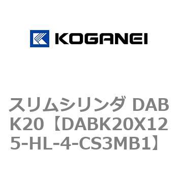 DABK20X125-HL-4-CS3MB1 XV_ DABK20 RKlC 71563668