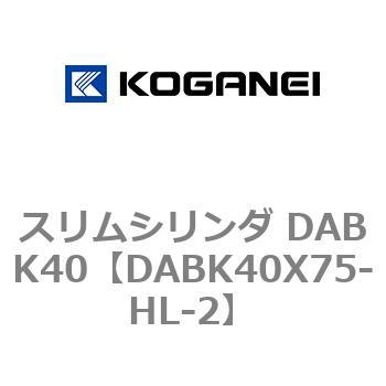 スリムシリンダ DABK40 コガネイ
