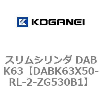 スリムシリンダ DABK63 コガネイ