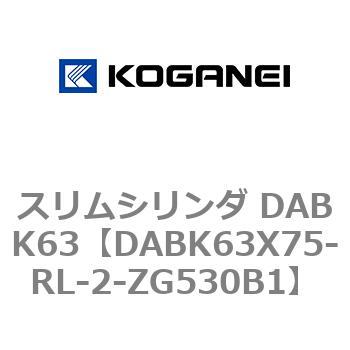 スリムシリンダ DABK63 コガネイ