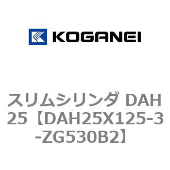 スリムシリンダ DAH25 コガネイ