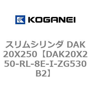 DAK20X250-RL-8E-I-ZG530B2 �X�����V�����_ DAK20X250 �R�K�l�C 71724047